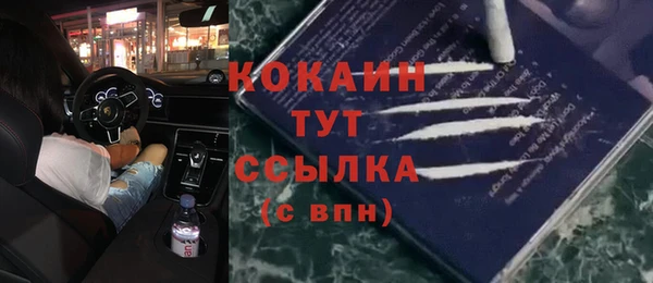 таблы Няндома