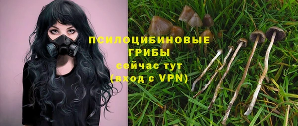 таблы Няндома