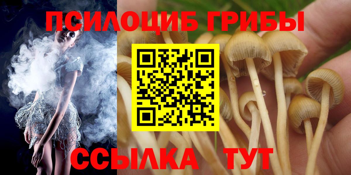 купить   Камышлов  Галлюциногенные грибы прущие грибы 