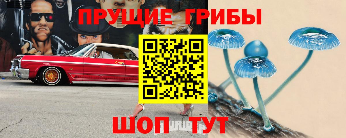 Камышлов  Псилоцибиновые грибы GOLDEN TEACHER  Вход с VPN  магазин продажи наркотиков  Галлюциногенные грибы MAGIC MUSHROOMS 