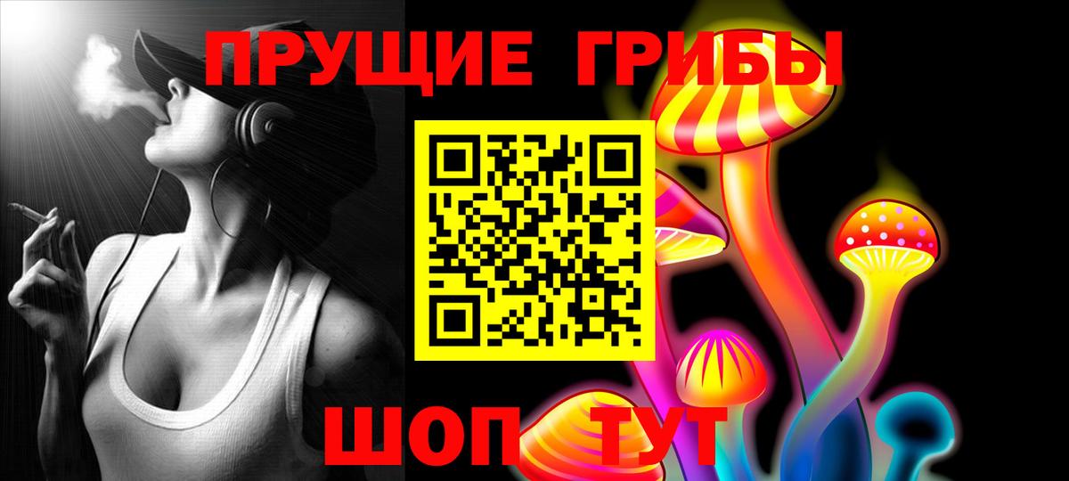 Псилоцибиновые грибы мицелий Камышлов